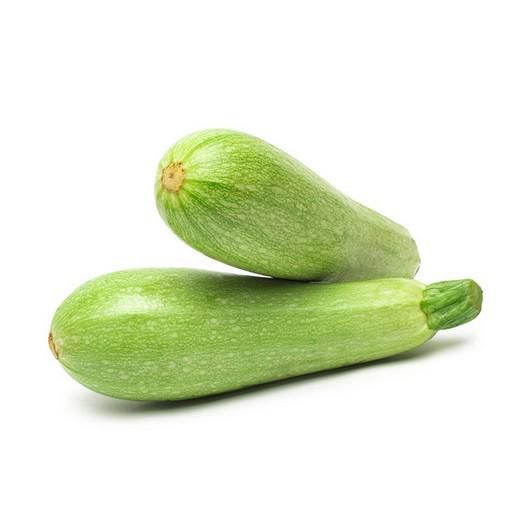 Zucchini