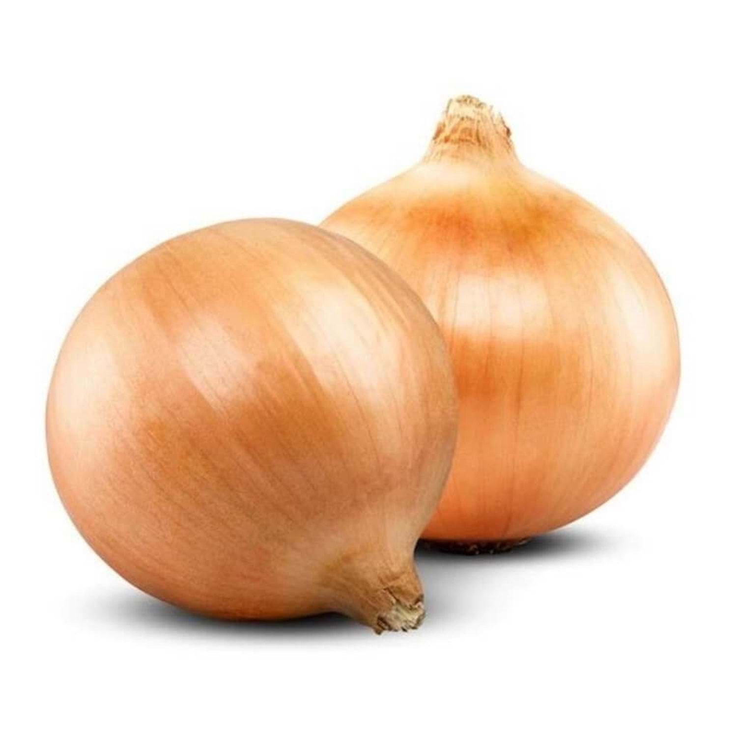 Zwiebel