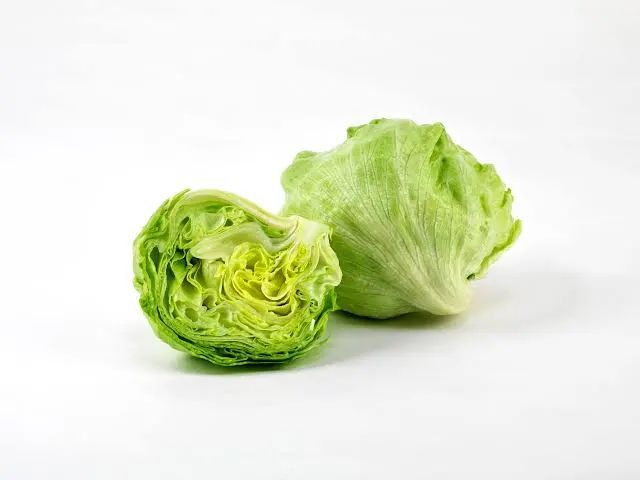 Eisbergsalat